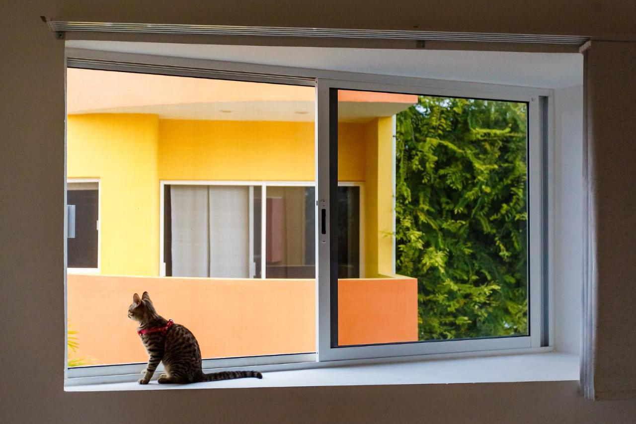 Kaam Accommodations Puerto Morelos Luaran gambar